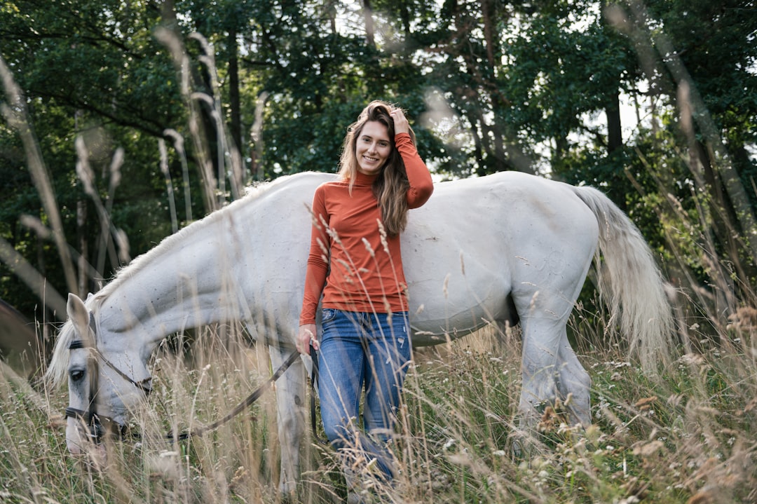 Photo Horse portrait